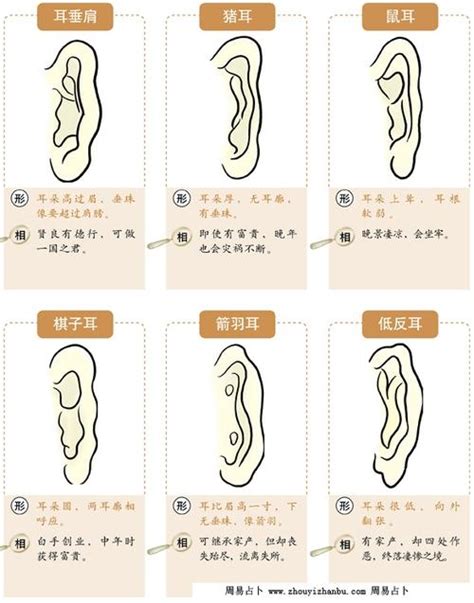 提耳面相|十六种耳朵面相图文分析三六风水网